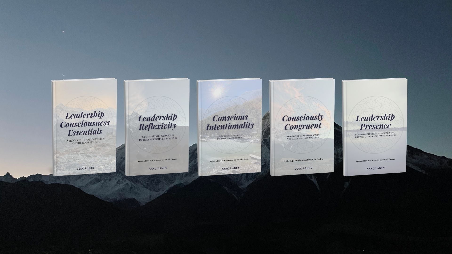 Leadership Consciousness Essentials Book Series