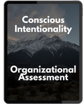 Intentionality Organizational Assessment