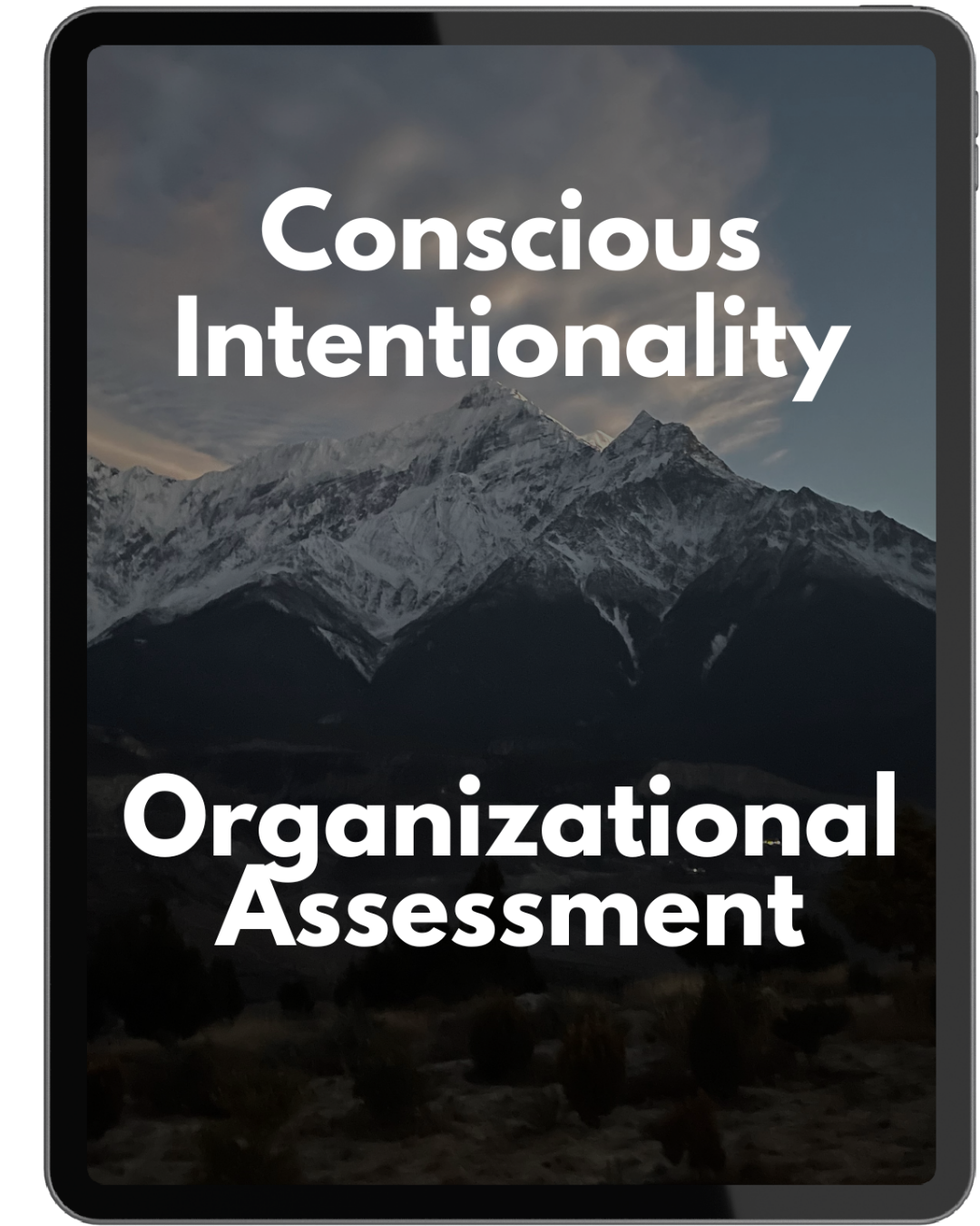 Intentionality Organizational Assessment