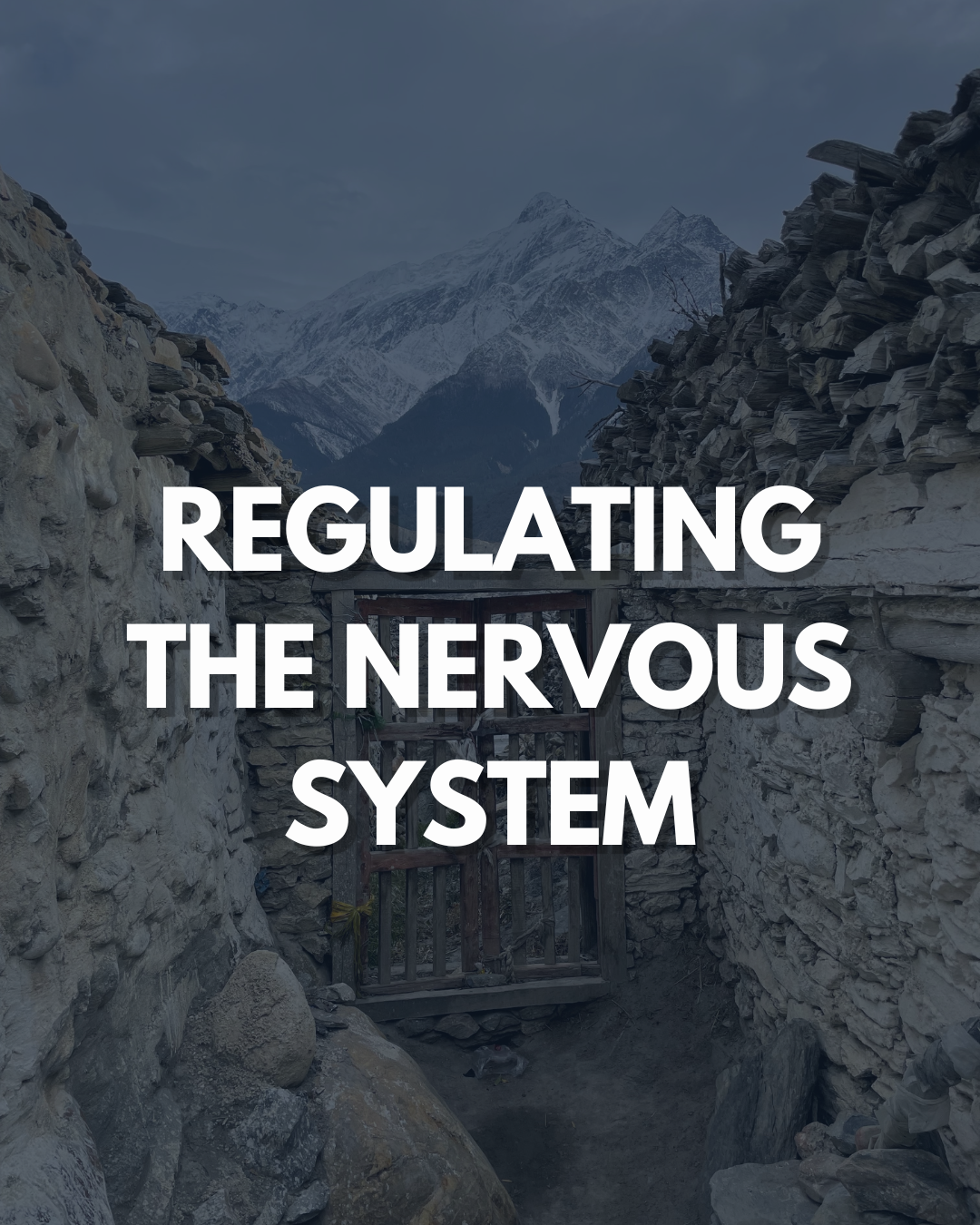 Regulating your Nervous System