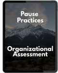 Pause Organizational Assessment