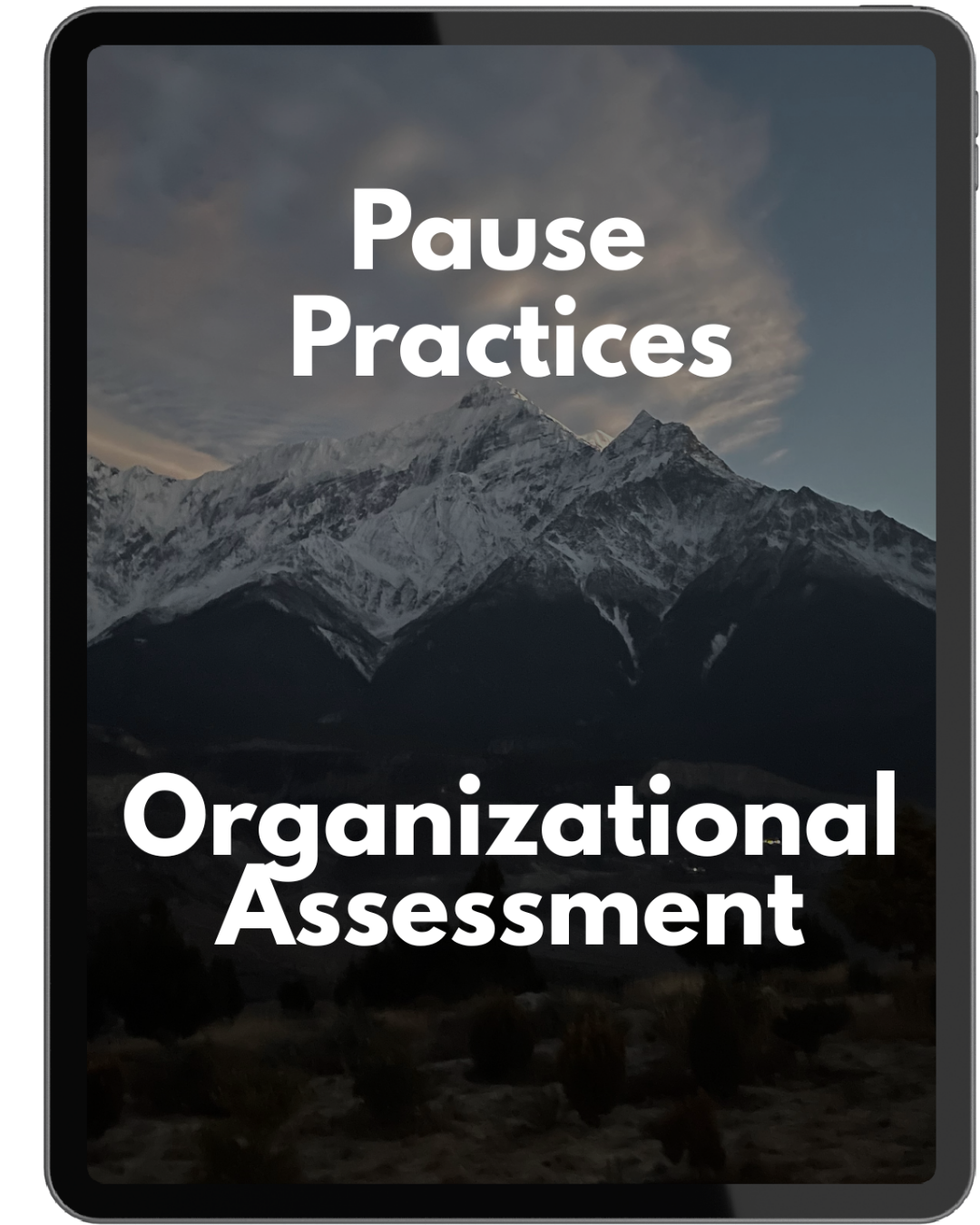 Pause Organizational Assessment