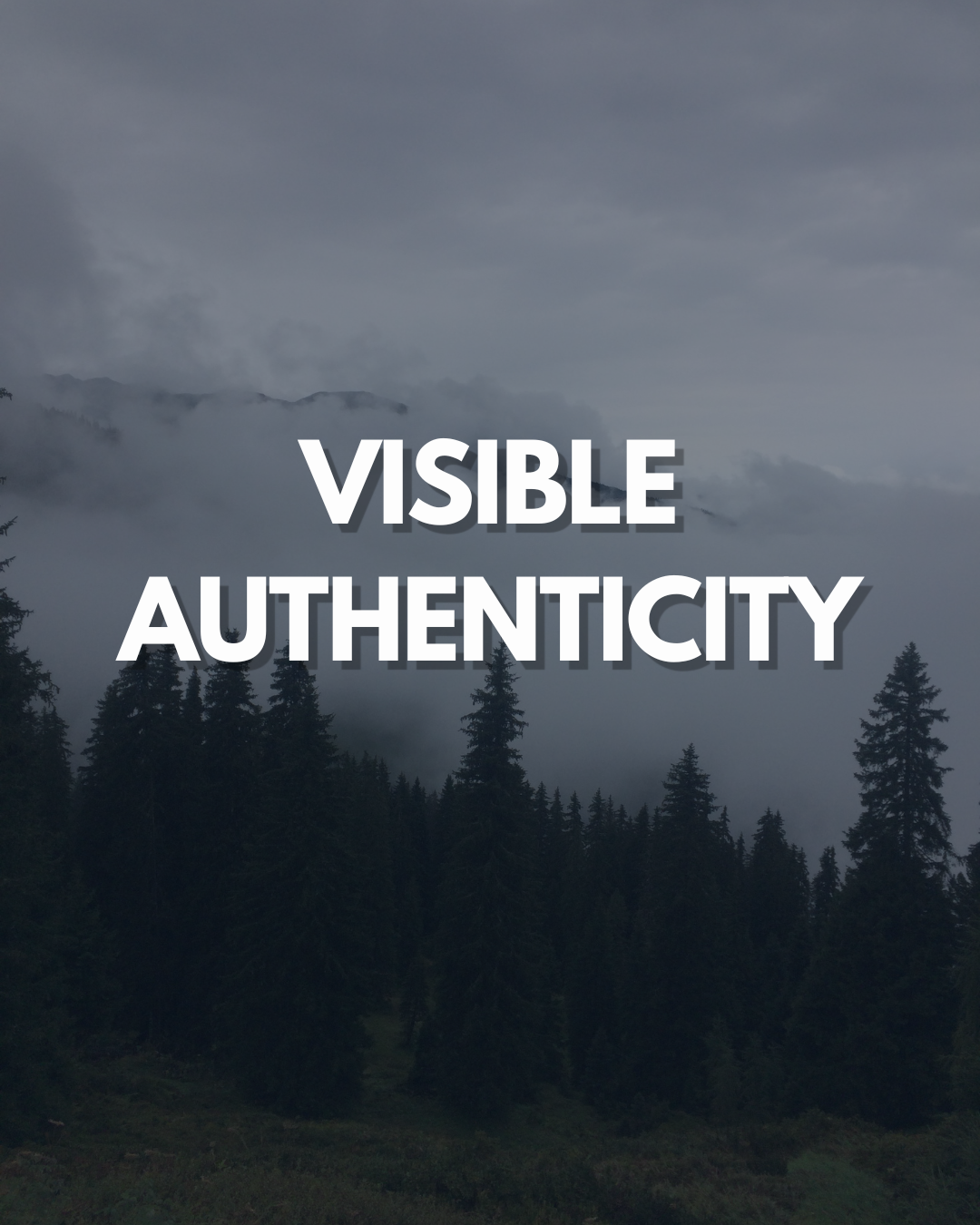 Visible Authenticity