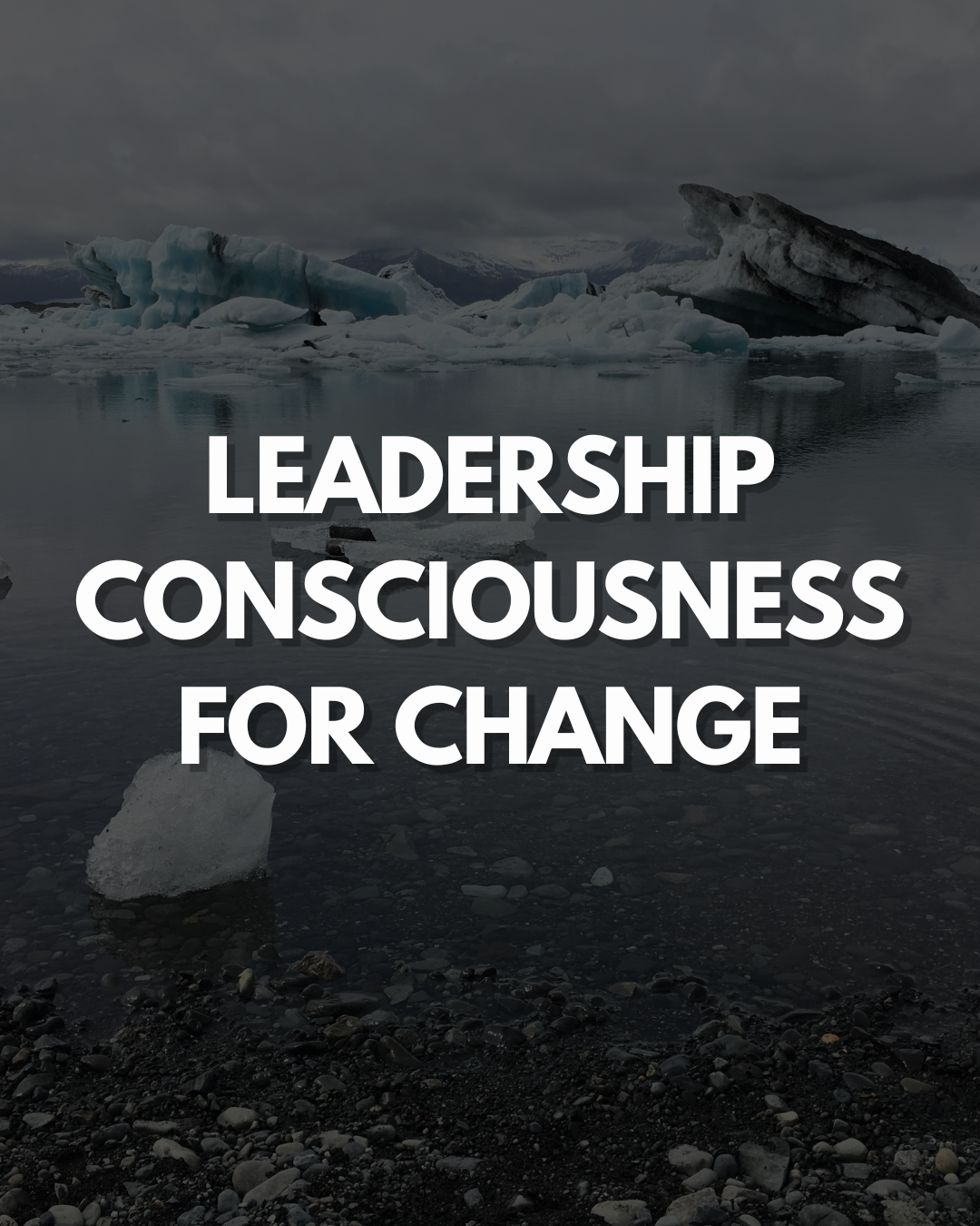 Leadership Consciousness for Change