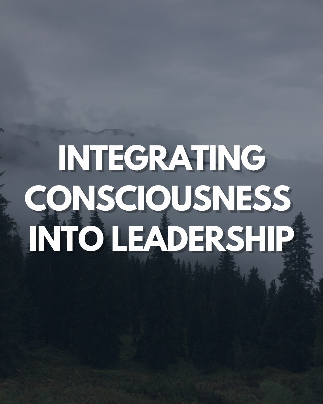 Integrating Consciousness Into Leadership