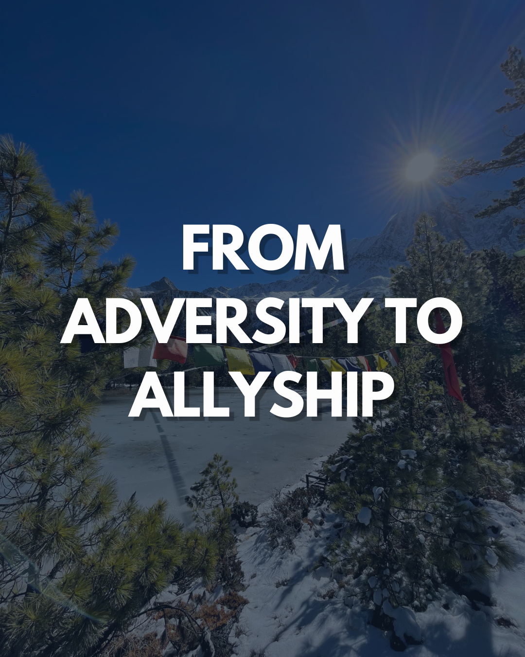 From Adversity to Allyship