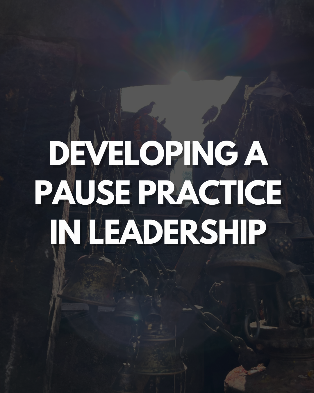Developing a Pause Practice in Leadership
