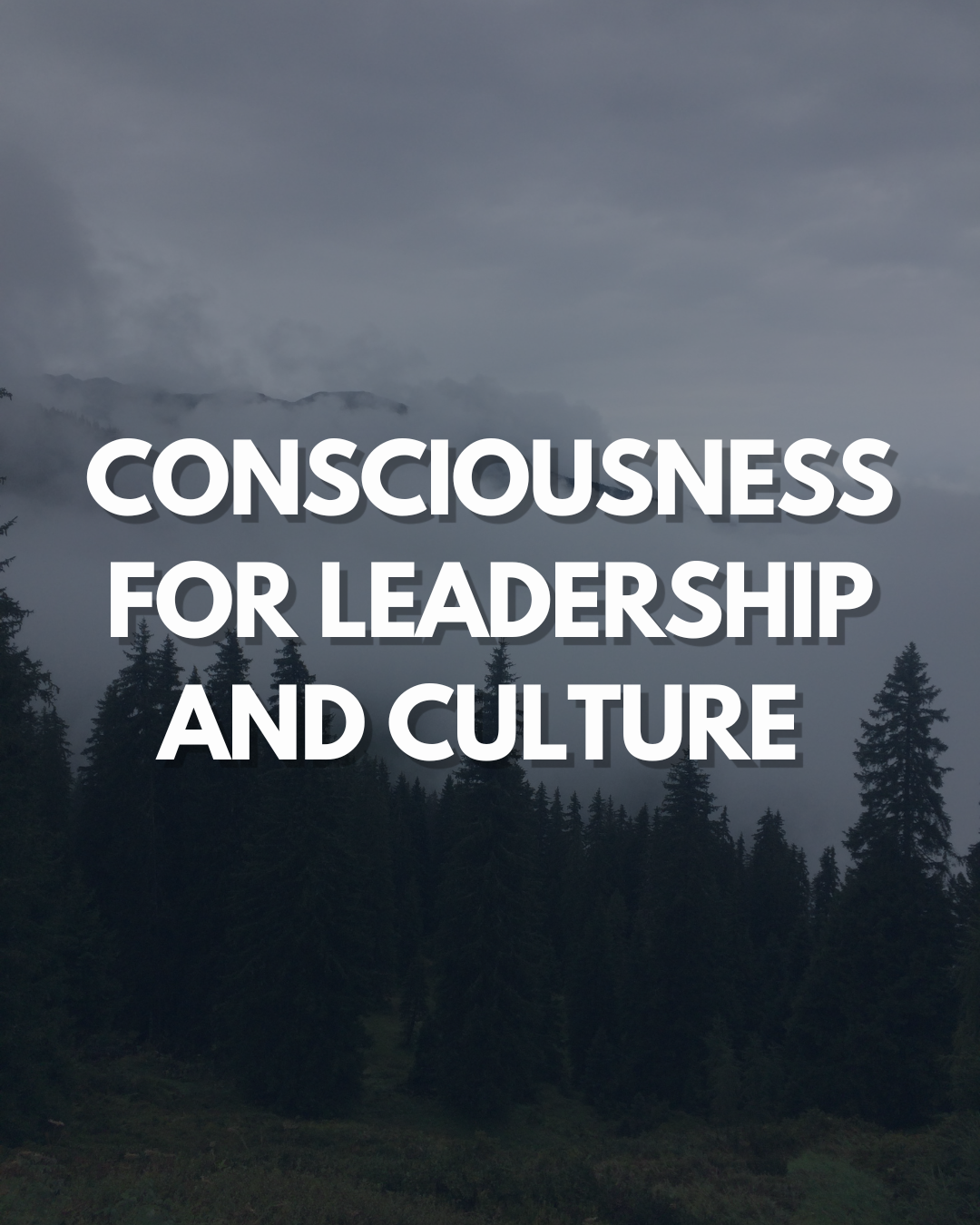 Consciousness for Leadership and Culture