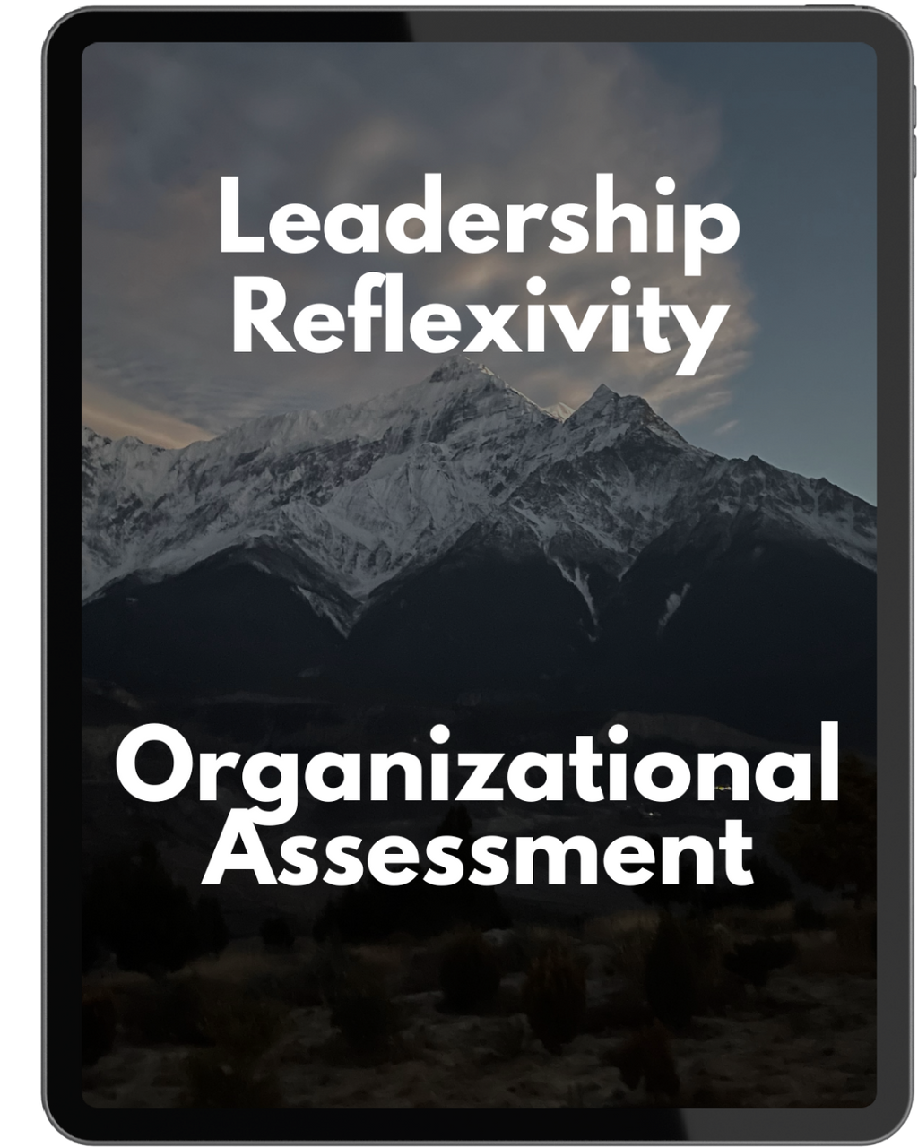 Reflexivity Bundle: Book, Workbook, Assessments &amp; Inclusion Lens (Digital Downloads)