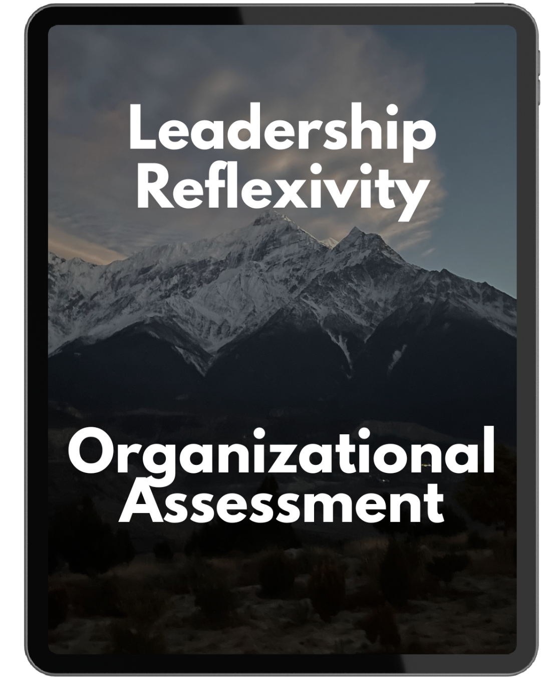 Reflexivity Organizational Assessment