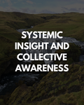 Systemic Insight and Collective Awareness