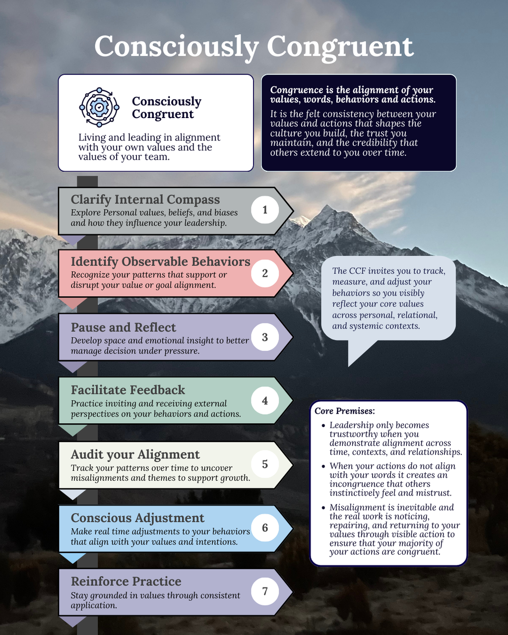 Consciously Congruent Ebook