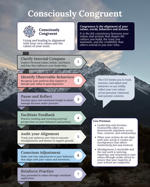 Consciously Congruent Ebook