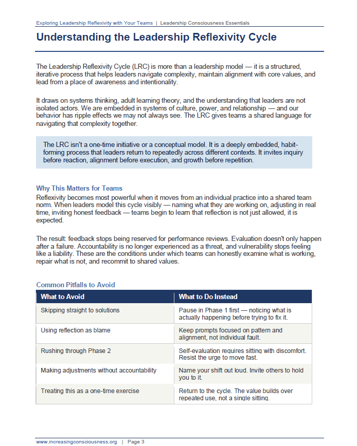 Team Reflexivity Guide | Leadership Consciousness Essentials