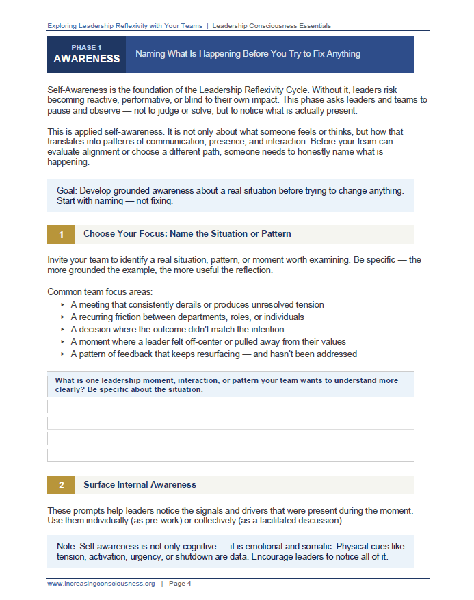 Team Reflexivity Guide | Leadership Consciousness Essentials