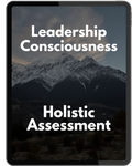 Leadership Consciousness Holistic Assessment