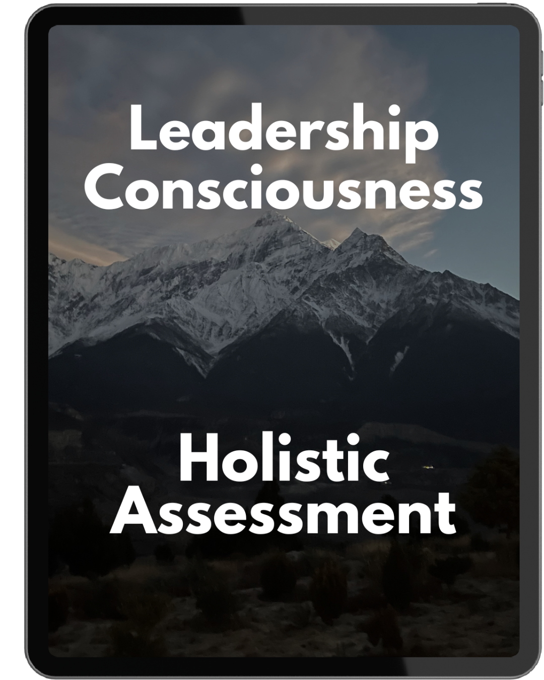 Leadership Consciousness Holistic Assessment