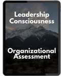 Leadership Consciousness Organizational Assessment