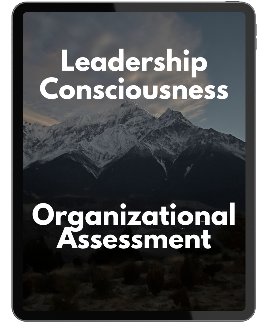 Leadership Consciousness Organizational Assessment