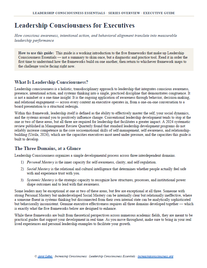 Leadership Consciousness for Executives: 5 Frameworks for Conscious Leadership