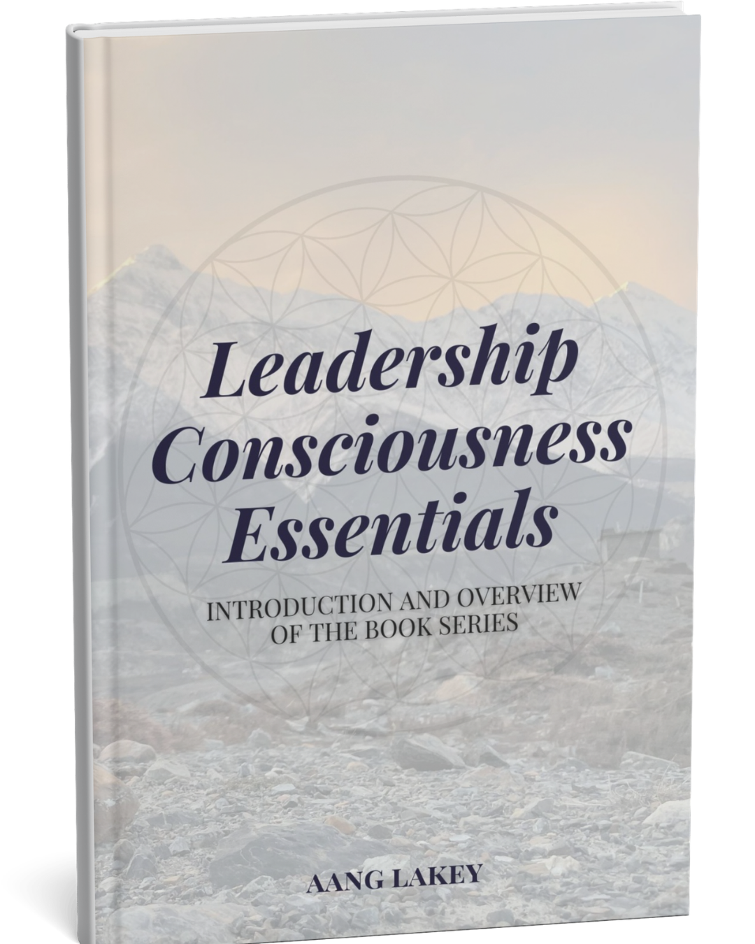 Leadership Consciousness Essentials book cover by Aang Lakey — leadership development and reflexivity framework guide