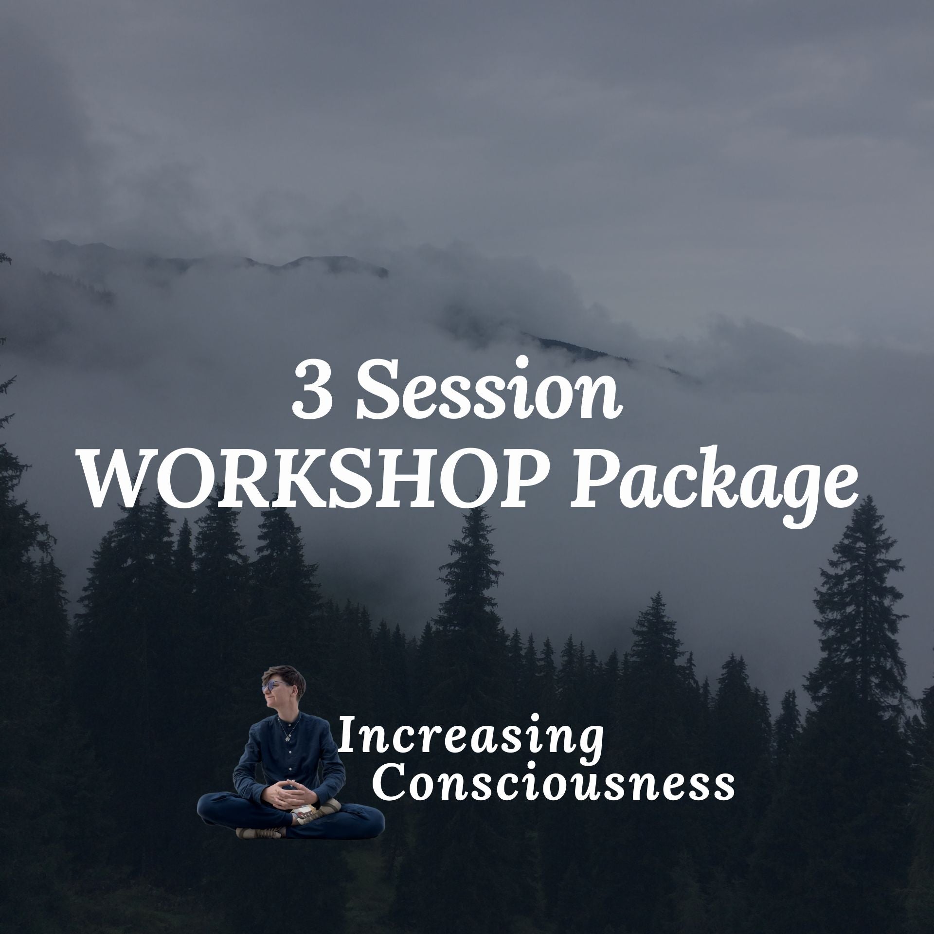 Training Package: 3 Workshops