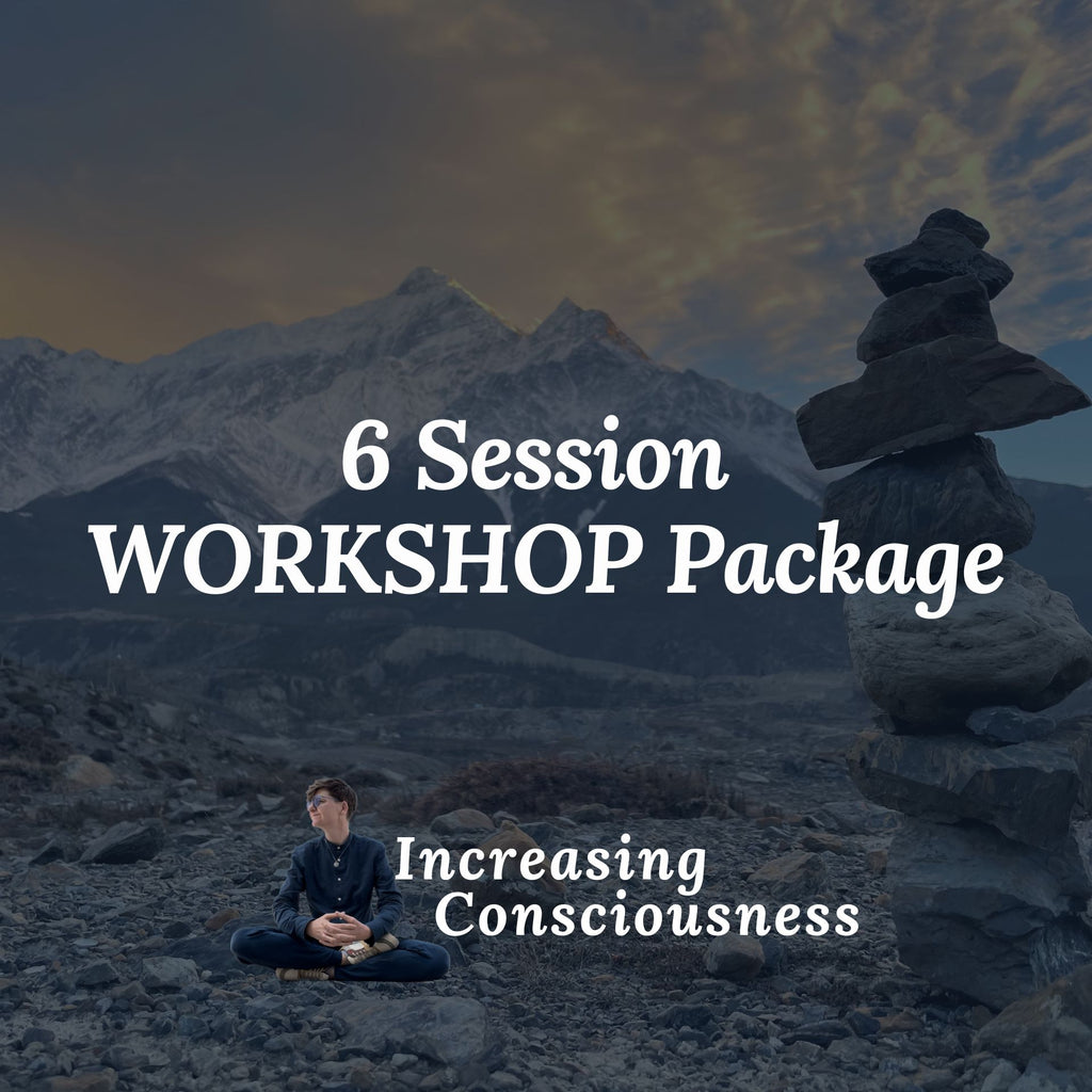 Training Package: 6 Workshops