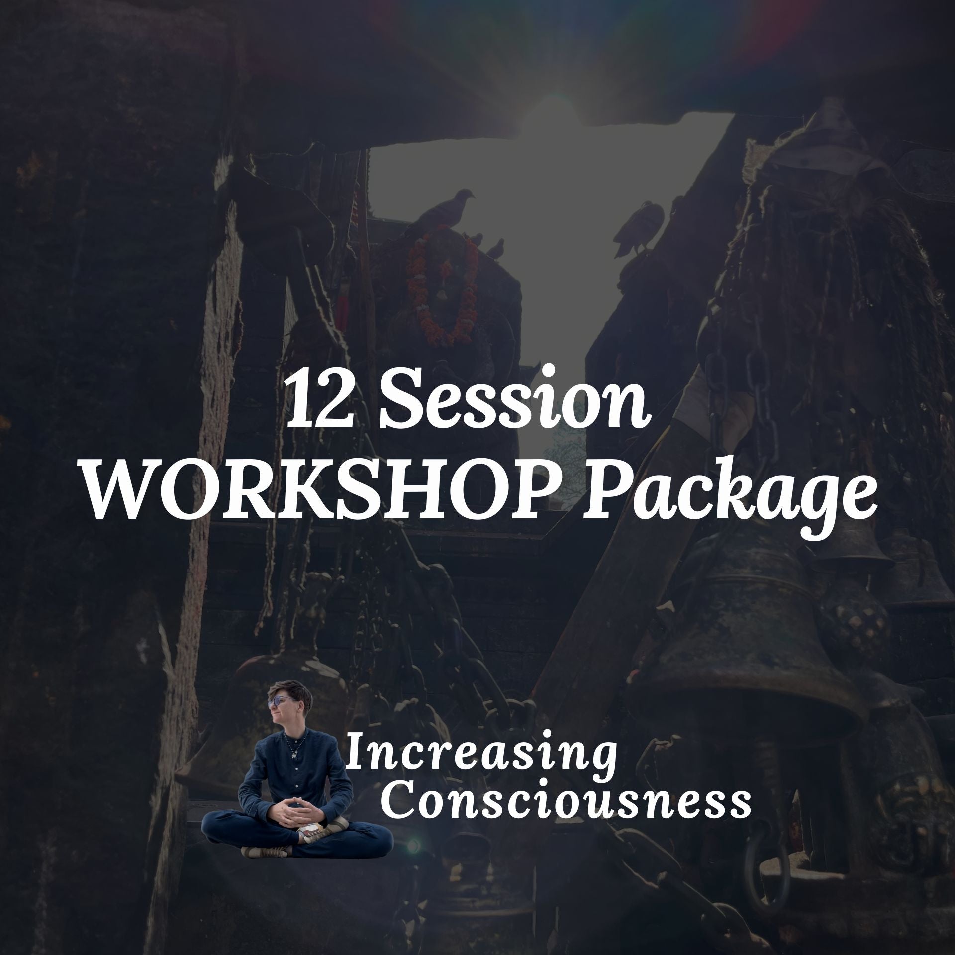 Training Package: 12 Workshops