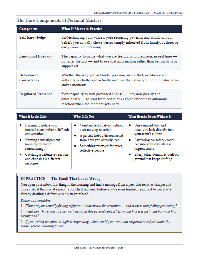 Leadership Consciousness Essential Workbook