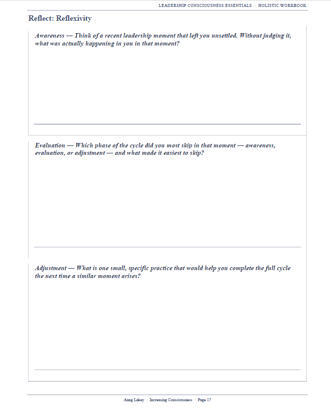 Leadership Consciousness Essential Workbook