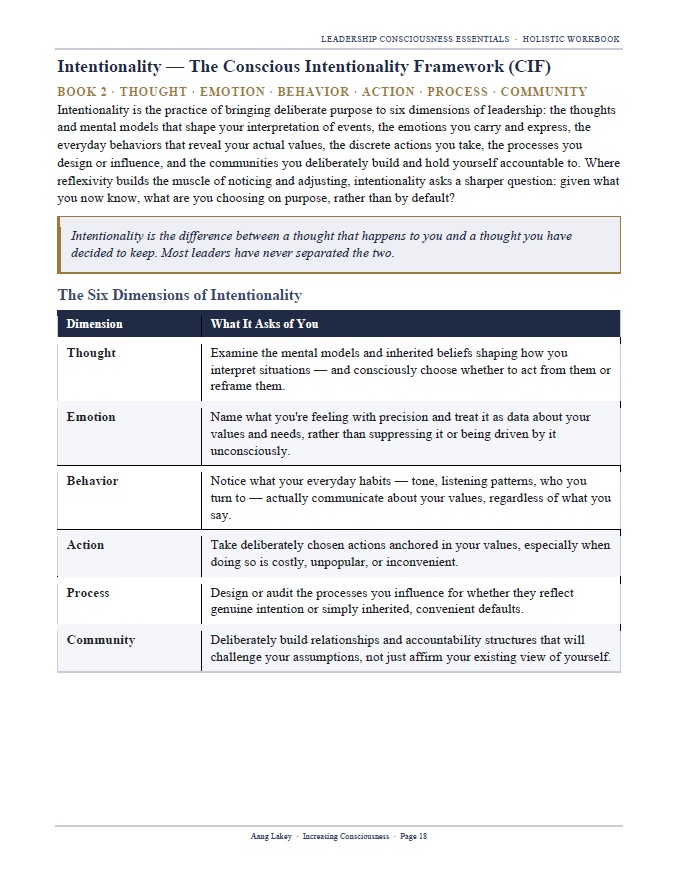 Leadership Consciousness Essential Workbook