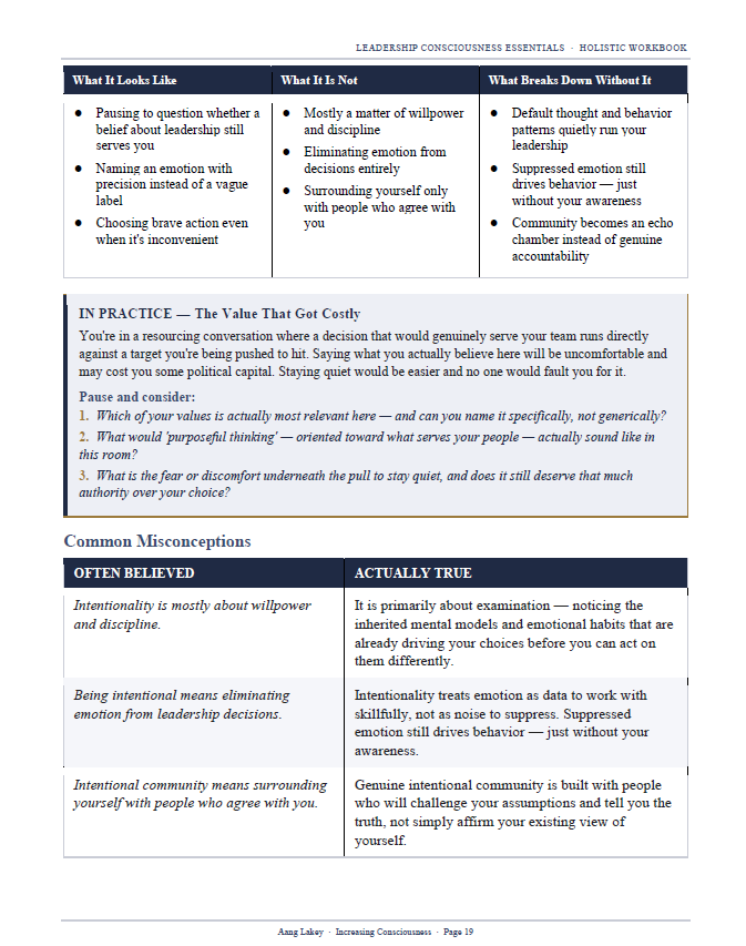 Leadership Consciousness Essential Workbook